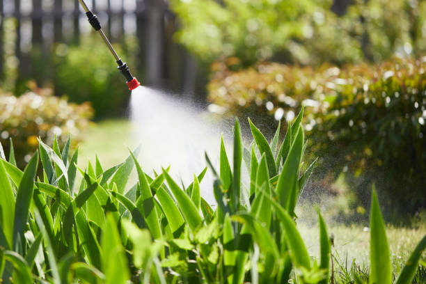 24/7 Emergency Wasp Removal experts in Desert Edge, CA