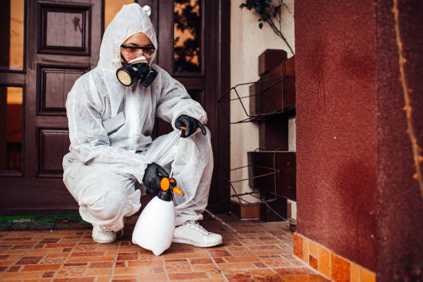 Reliable Wasp Removal contractor in Desert Edge, CA by Show Me Pest Control